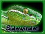 Green Reptile Snake Scaled reptile Mamba
